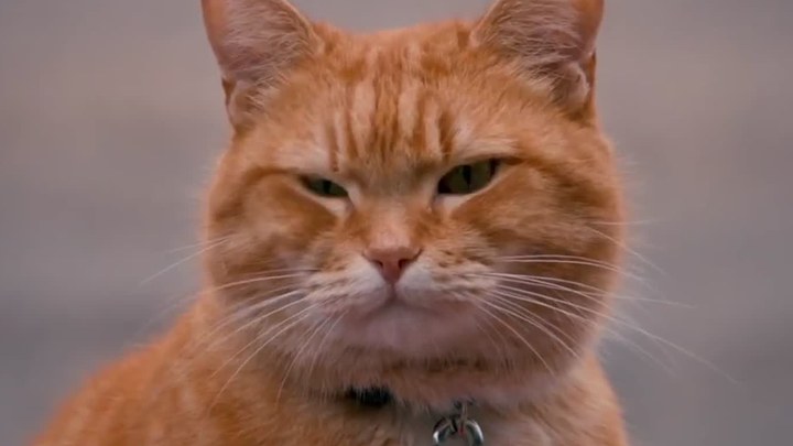 折腰免费观看全集完整版高清