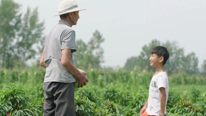 奉天往事免费观看