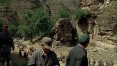 孤独的野兽电视剧免费观看