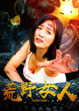 隐形将军电视剧