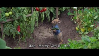 我们的日子电视剧免费观看