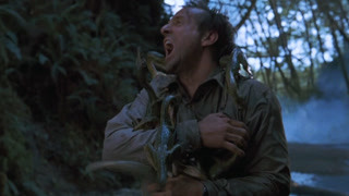 极速悖论电视剧在线观看