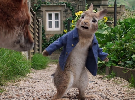 杨光的快乐生活第五部