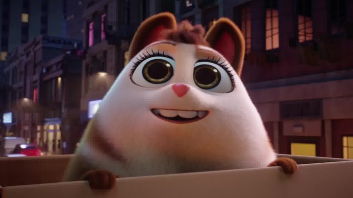 星光在线观看免费播放